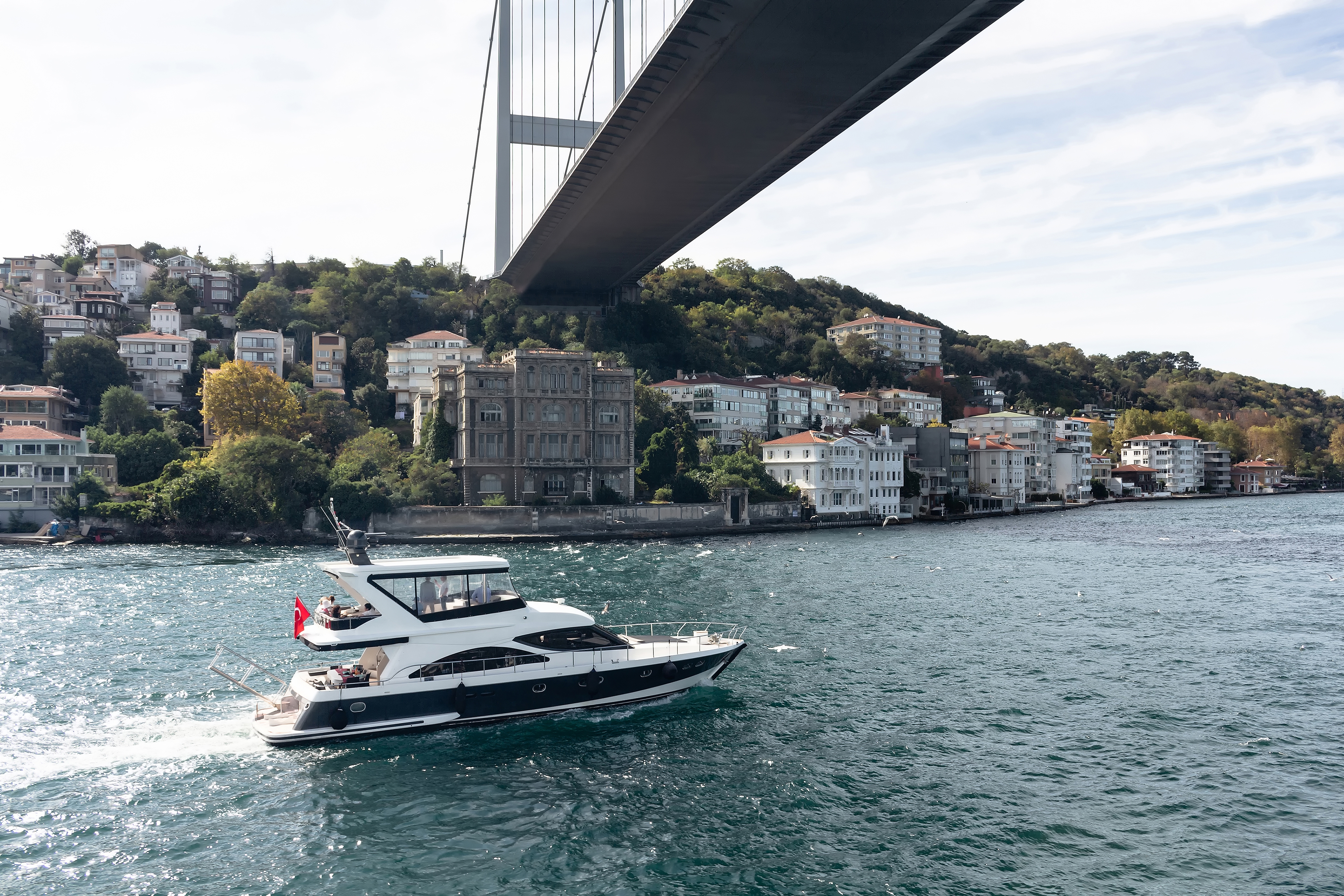 Bosphorus Cruise Tour